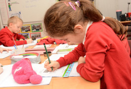 pupil premium at colley lane primary academy